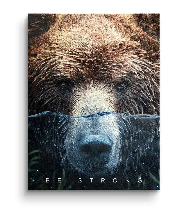 Strong Face. Be stronge. Animal Bear Bild - Dotcomcanvas